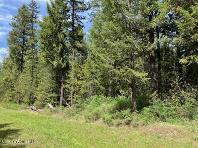 NNA Sierra Ln, Spirit Lake, Idaho 83869, États-Unis