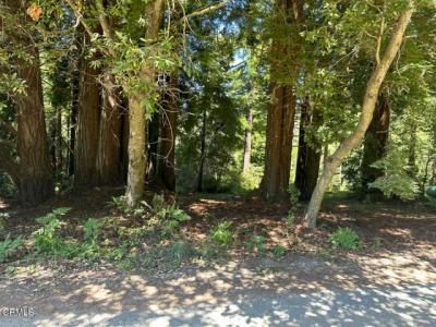 31320 Airport Road, Fort Bragg, 캘리포니아 95437, 미국