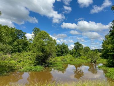 0000 FM 161, Hughes Springs, Texas 75656