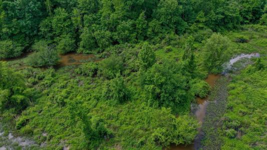 0000 FM 161, Hughes Springs, Texas 75656