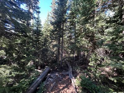 W Hunter Ridge DR, Brian Head, Utah 84719, USA