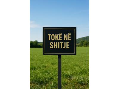 Sektori Rinia, Durrës, Albania