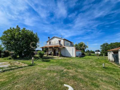 Strada Comunale di Montalcino, Castiglione della Pescaia, Toscana 58043, Italy