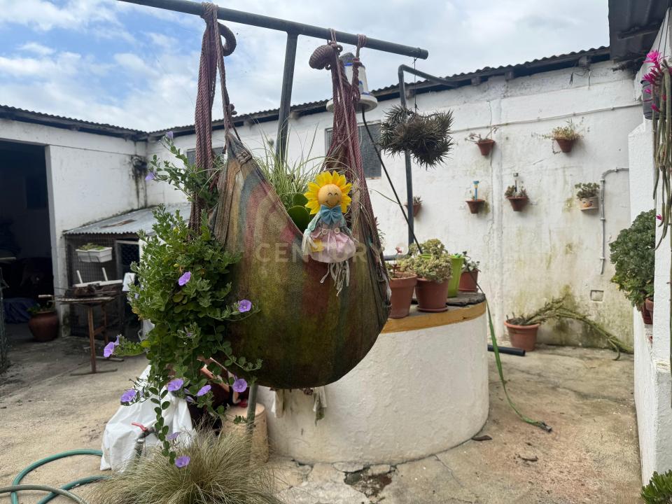 Vendas Novas, Evora 2965, Portugal