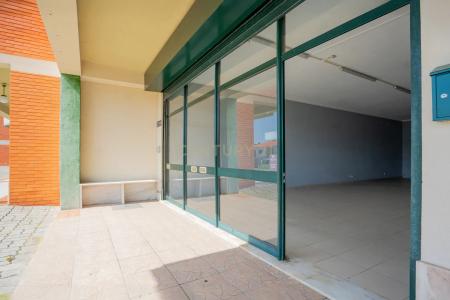 Cantanhede, Coimbra 3060-318, Portogallo