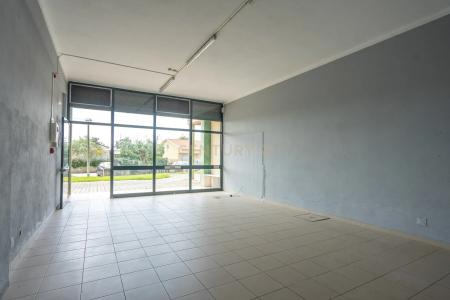 Cantanhede, Coimbra 3060-318, Portogallo