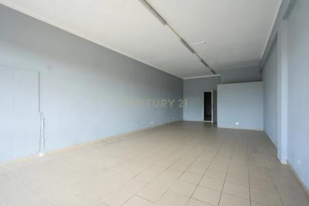 Cantanhede, Coimbra 3060-318, Portogallo
