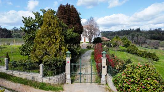 Tondela, Viseu 3460-016, Portogallo