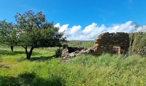 Idanha A Nova, Castelo Branco 6060, Portugal