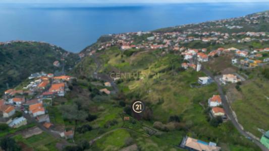 Calheta, Madera 9370-158, Portugalia