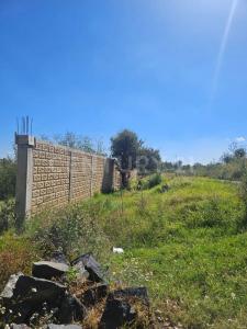 CARLOS B ZETINA 3601,, Huejotzingo, Puebla 74160, México