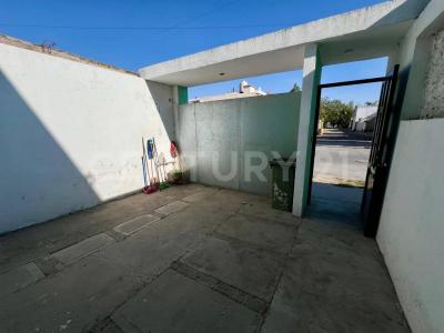 Fuente Alpaca ,, Tlaquepaque, 哈利斯科 45615, 墨西哥