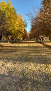 gobernador ortiz ., Luján De Cuyo, Mendoza 00001, Argentina