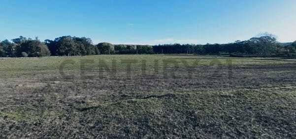 bordeu 2800, General Pueyrredón, Buenos Aires (fuera De GBA) 7600, 아르헨티나