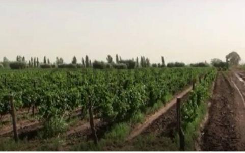 General San Martín, Mendoza 00001, Argentina