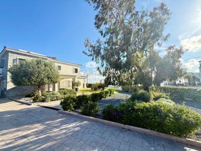 Konia, 8504, Cyprus