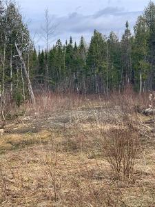 Route 214, Milan, Quebec G0Y 1E0, Canada