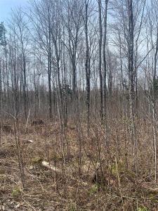 Route 214, Milan, Quebec G0Y 1E0, Canada