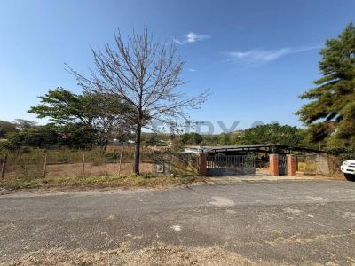 Sector Elefante Caballeriza, Tocuyito, Carabobo 2035, Venezüella