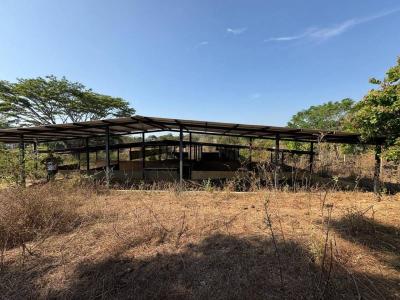 Sector Elefante Caballeriza, Tocuyito, Carabobo 2035, Venezüella
