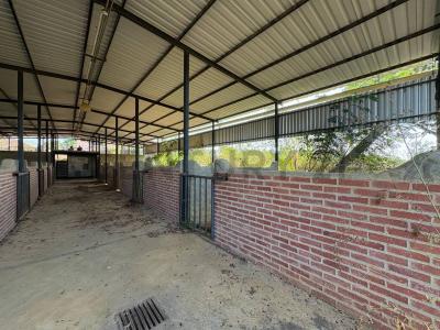 Sector Elefante Caballeriza, Tocuyito, Carabobo 2035, Venezüella
