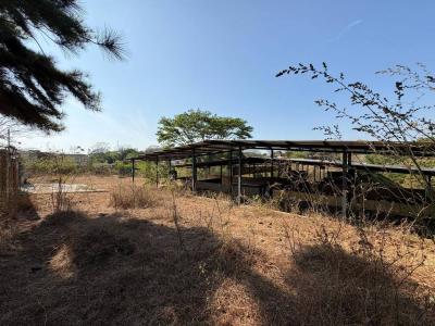Sector Elefante Caballeriza, Tocuyito, Carabobo 2035, Venezüella