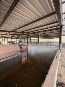 Sector Elefante Caballeriza, Tocuyito, Carabobo 2035, Venezüella