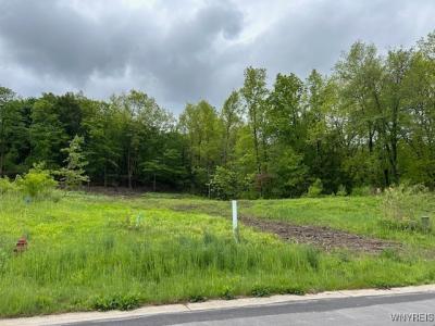 4951 Big Vista Drive, Lewiston, Nowy Jork 14092, USA