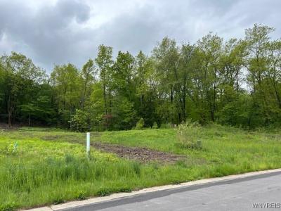 4951 Big Vista Drive, Lewiston, Nowy Jork 14092, USA