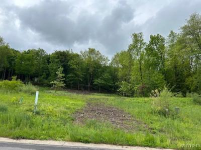 4951 Big Vista Drive, Lewiston, Nowy Jork 14092, USA