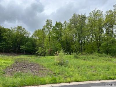 4951 Big Vista Drive, Lewiston, Nowy Jork 14092, USA