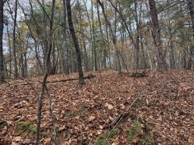 1 Paradise Park Road, Murphy, Carolina Del Norte 28906, Estados Unidos