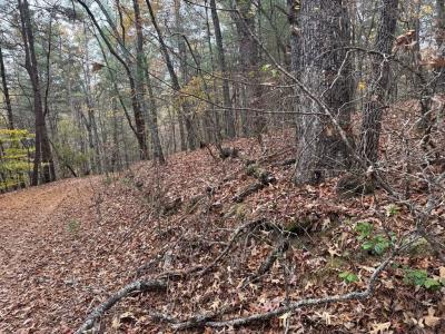 1 Paradise Park Road, Murphy, Carolina Del Norte 28906, Estados Unidos