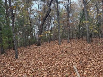 1 Paradise Park Road, Murphy, Carolina Del Norte 28906, Estados Unidos