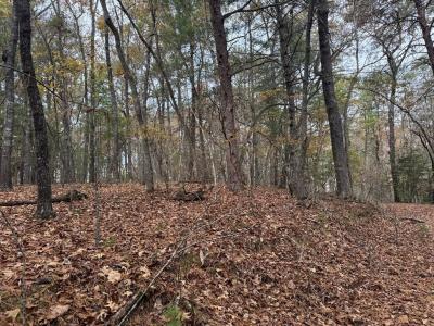 7 Paradise Park Road, Murphy, Carolina Del Norte 28906, Estados Unidos