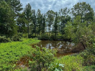 0000 CR 4675, Atlanta, Texas 75551