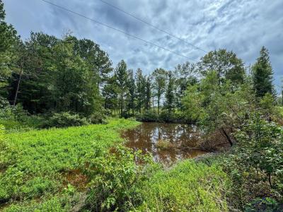0000 CR 4675, Atlanta, Texas 75551