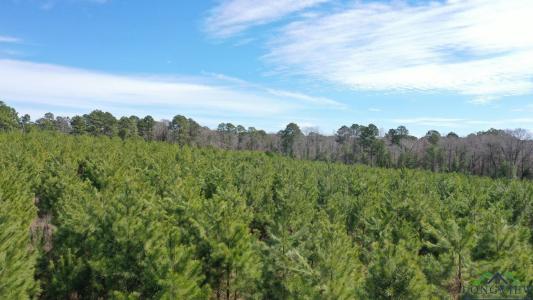 0003 CR 1115, Atlanta, Texas 75551