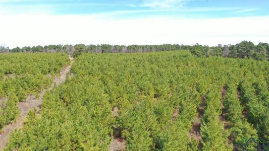 0003 CR 1115, Atlanta, Texas 75551