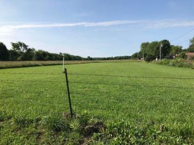 640 West Hadley Street, Aurora, Missouri 65605, Estados Unidos