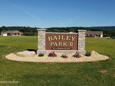 LOT 5A West Street, Mifflinville, Pennsylvanie 18631, États-Unis