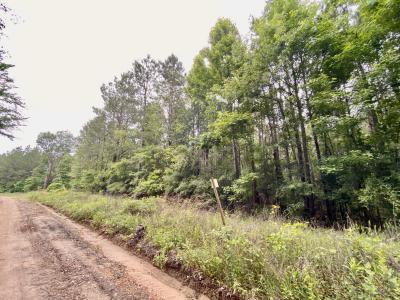L98486 Grimes Flournoy Road, Huntington, Texas 75949, Stati Uniti