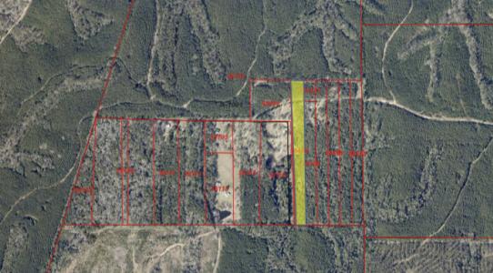 L98486 Grimes Flournoy Road, Huntington, Texas 75949, Stati Uniti