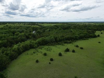 31 ac CR 1096, Celeste, Texas 75423, Stati Uniti
