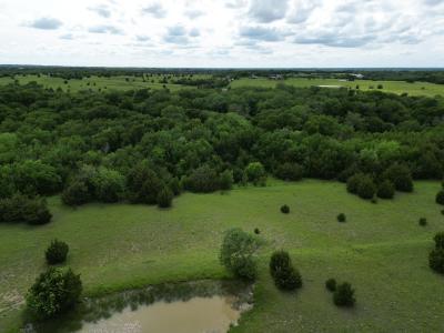 31 ac CR 1096, Celeste, Texas 75423, USA