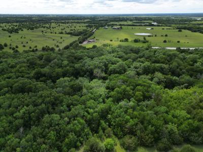 31 ac CR 1096, Celeste, Texas 75423, Stati Uniti