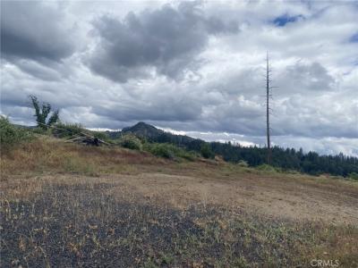 13770 Andover, Magalia, California 95954, USA