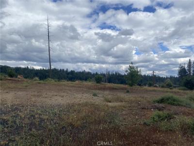 13770 Andover, Magalia, California 95954