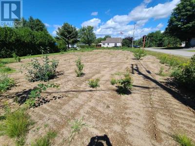 206 YOUNGFOX RD, Blind River, Онтарио P0R 1B0, Канада
