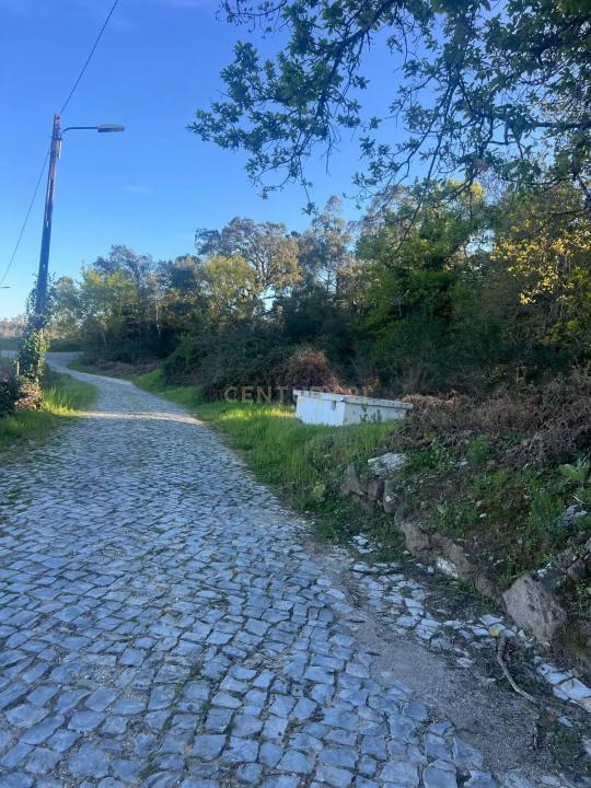 Figueiró Dos Vinhos, 르이리아 3260, 포르투갈